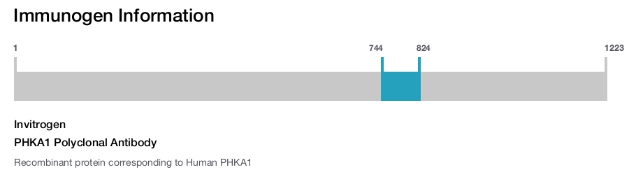 PHKA1 Polyclonal Antibody