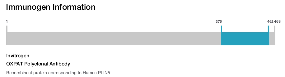 OXPAT Polyclonal Antibody