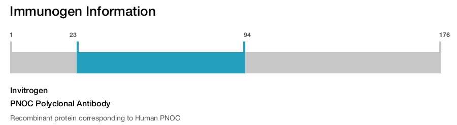 PNOC Polyclonal Antibody
