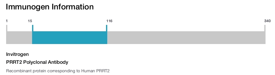 PRRT2 Polyclonal Antibody