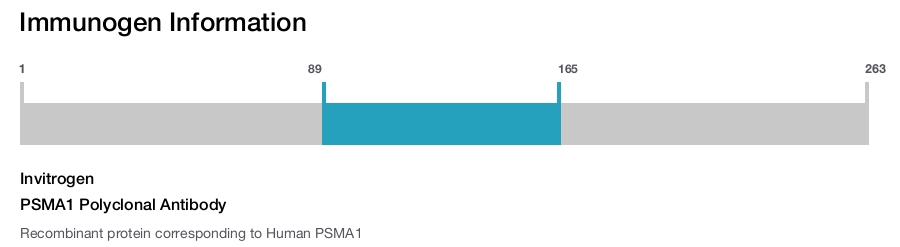 PSMA1 Polyclonal Antibody