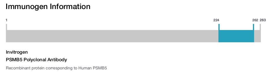 PSMB5 Polyclonal Antibody