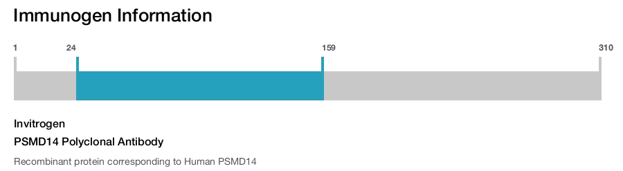 PSMD14 Polyclonal Antibody