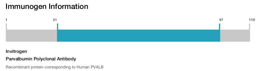 Parvalbumin Polyclonal Antibody