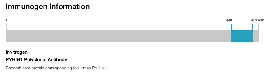 PYHIN1 Polyclonal Antibody