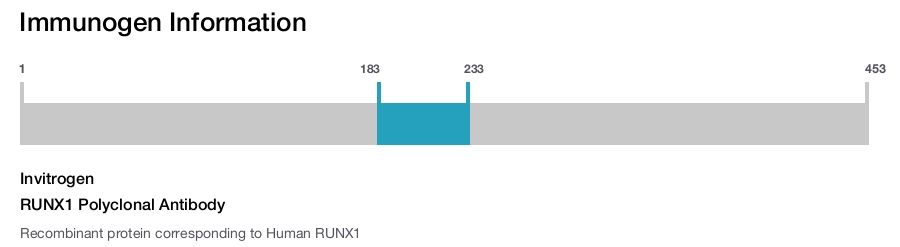 RUNX1 Polyclonal Antibody