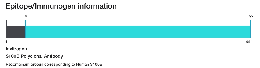 S100B Polyclonal Antibody