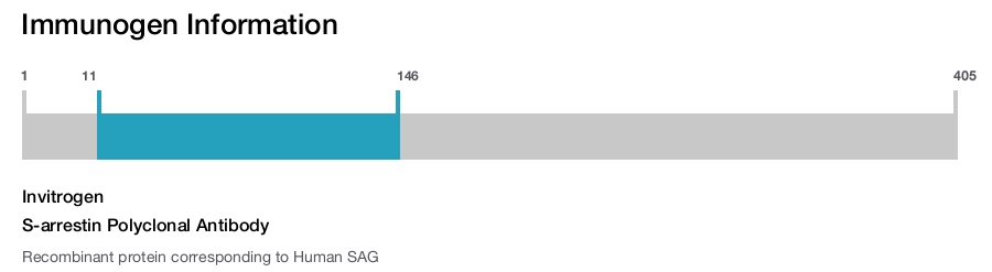 S-arrestin Polyclonal Antibody