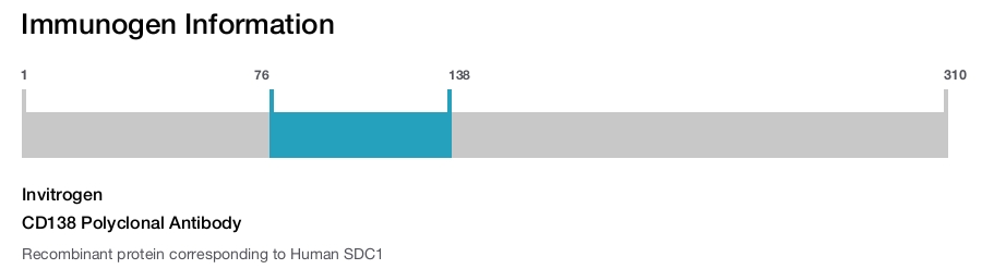 CD138 Polyclonal Antibody