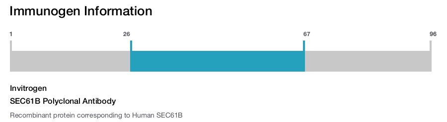 SEC61B Polyclonal Antibody