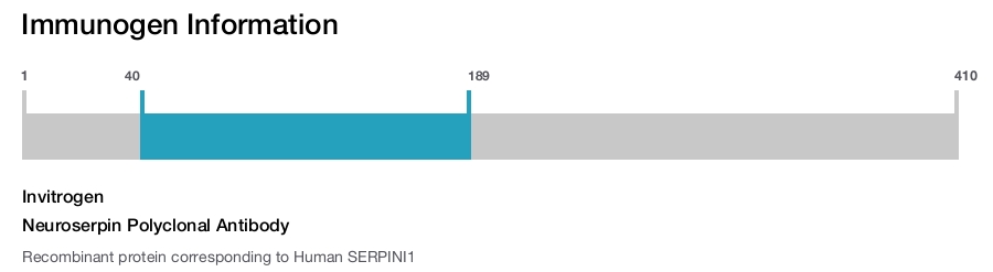 Neuroserpin Polyclonal Antibody