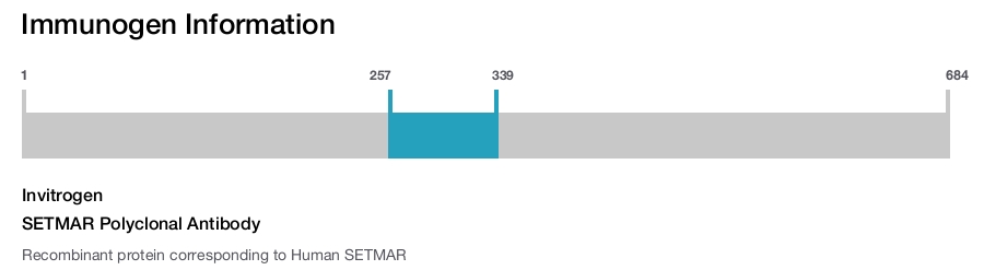 SETMAR Polyclonal Antibody