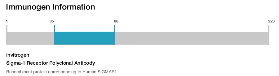 Sigma-1 Receptor Polyclonal Antibody