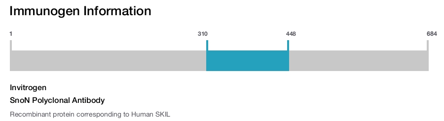 SnoN Polyclonal Antibody
