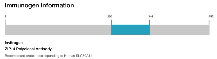 ZIP14 Polyclonal Antibody