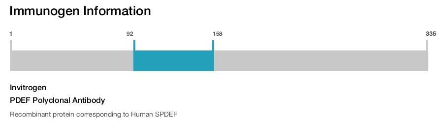 PDEF Polyclonal Antibody