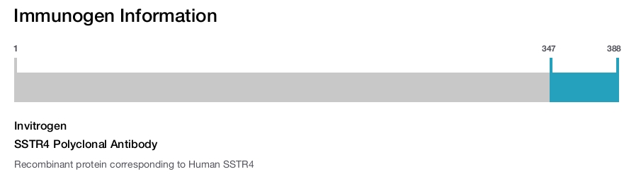 SSTR4 Polyclonal Antibody