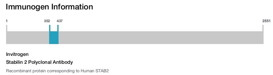 Stabilin 2 Polyclonal Antibody