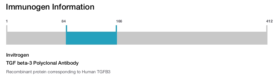 TGF beta-3 Polyclonal Antibody