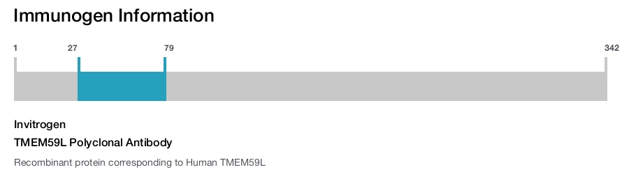 TMEM59L Polyclonal Antibody