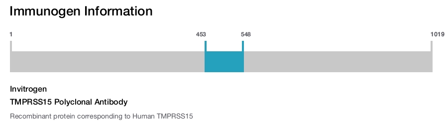 TMPRSS15 Polyclonal Antibody