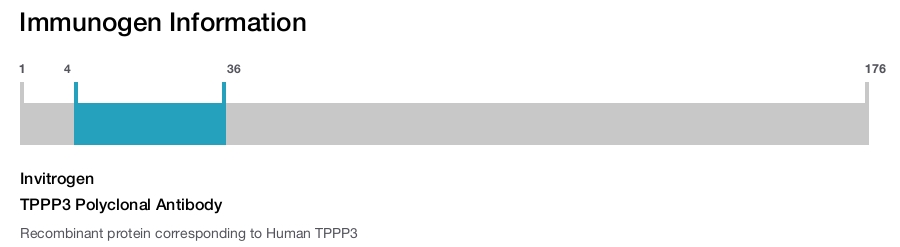 TPPP3 Polyclonal Antibody