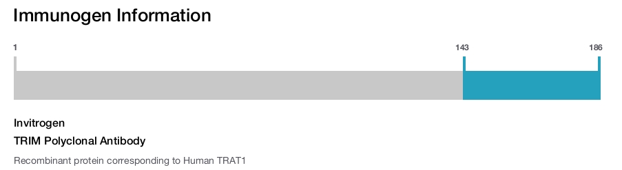 TRIM Polyclonal Antibody