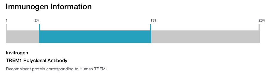 TREM1 Polyclonal Antibody