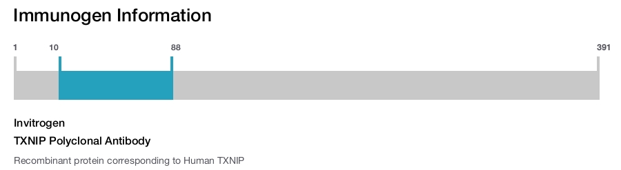 TXNIP Polyclonal Antibody