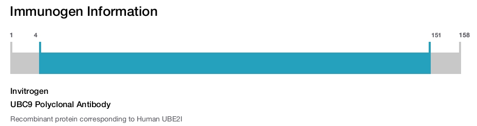 UBC9 Polyclonal Antibody