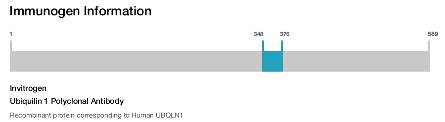 Ubiquilin 1 Polyclonal Antibody