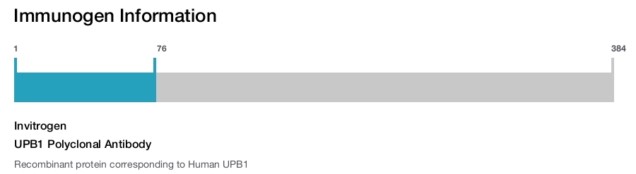 UPB1 Polyclonal Antibody