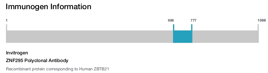 ZNF295 Polyclonal Antibody