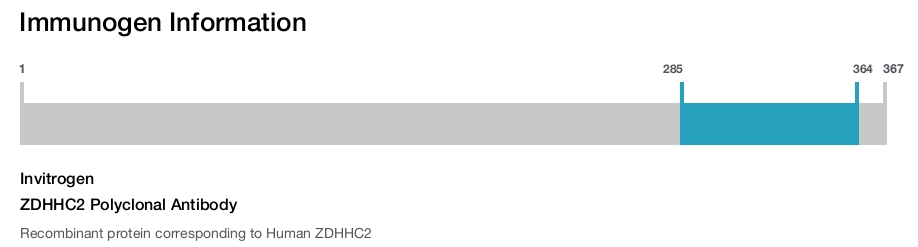 ZDHHC2 Polyclonal Antibody