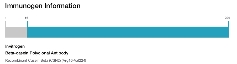 Beta-casein Polyclonal Antibody