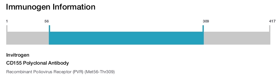 CD155 Polyclonal Antibody