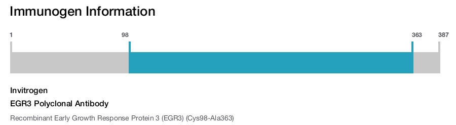 EGR3 Polyclonal Antibody
