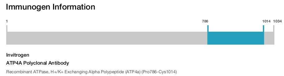 ATP4A Polyclonal Antibody