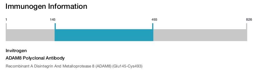 ADAM8 Polyclonal Antibody