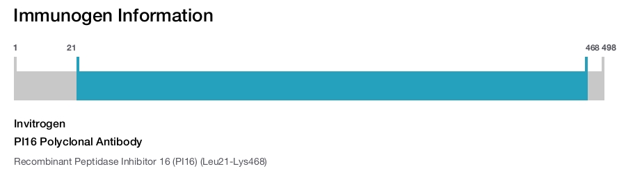 PI16 Polyclonal Antibody