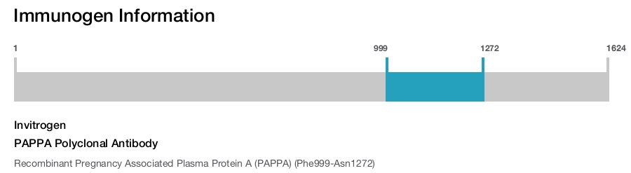 PAPPA Polyclonal Antibody