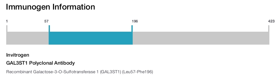 GAL3ST1 Polyclonal Antibody