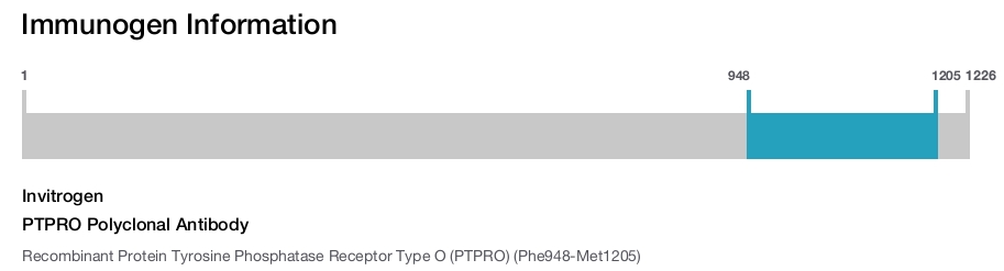 PTPRO Polyclonal Antibody