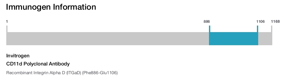 CD11d Polyclonal Antibody