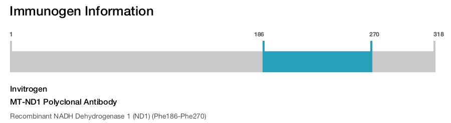 MT-ND1 Polyclonal Antibody