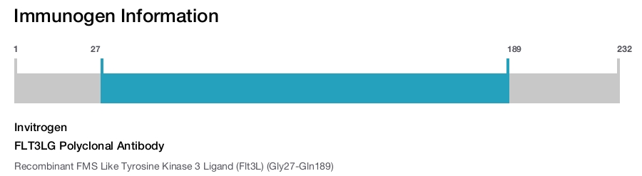 FLT3LG Polyclonal Antibody