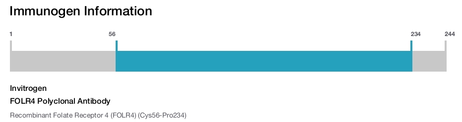FOLR4 Polyclonal Antibody