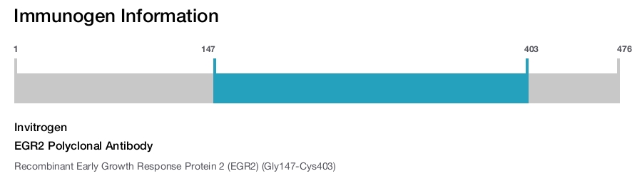 EGR2 Polyclonal Antibody