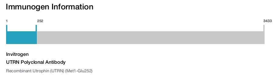 UTRN Polyclonal Antibody