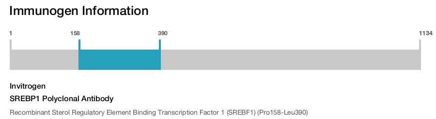 SREBP1 Polyclonal Antibody